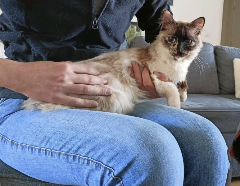 Des nouvelles de Toupie! 🐱